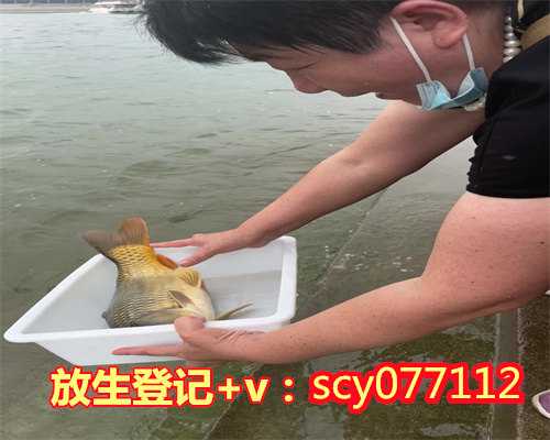 惠州购买放生鱼苗,惠州在哪儿放生白鹅,惠州捡的柳莺放生后能活吗