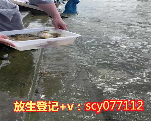 广州哪里能放生红鲤鱼，广州惊现僵尸鱼：鱼已煮熟，吃一口，鱼头动一下