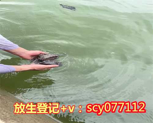 惠州道家随缘放生，惠州植物园放生池，惠州哪里可以放生鲤鱼